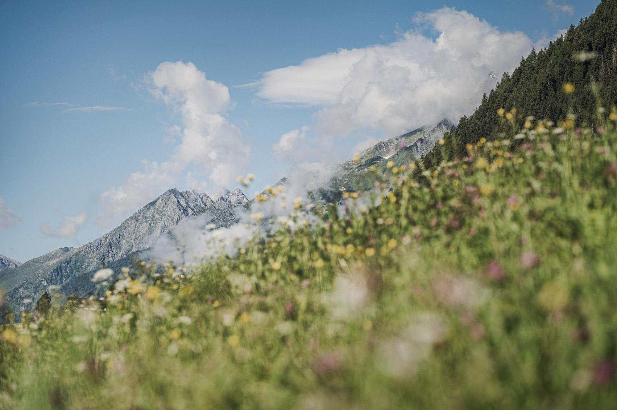 Biohotel Rastbichlhof Neustift im Stubaital Zewnętrze zdjęcie